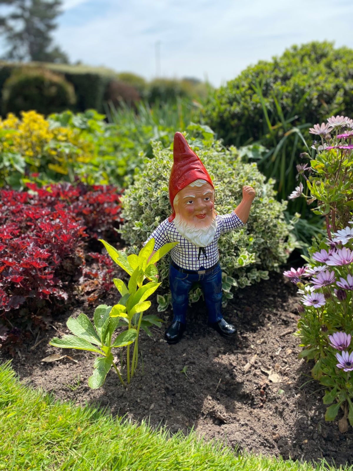as Griebel garden gnome in a flower bed he is wearing a red hat. Gnomeshomes
