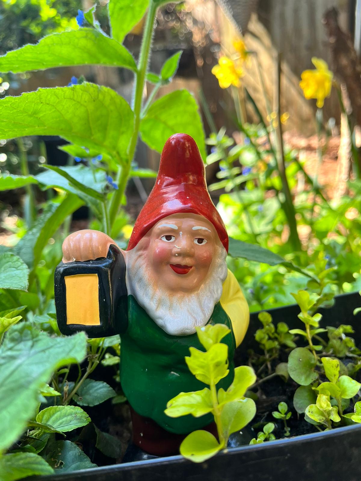 Unlock the Magic of Your Garden with Gnomes: Why These Enchanting Little Creatures Will Make Your Plants Sing