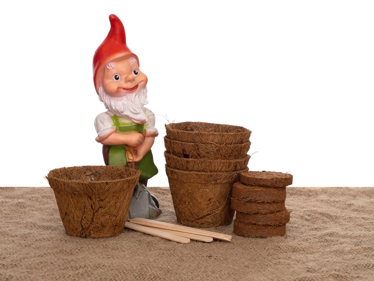 Freds Shed Garden Gnome with Plant Pots - Gnomeshomes
